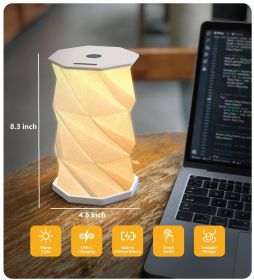 Valentines Day gift, Twist night light for him (Package: 2pack)